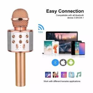 Portable Karaoke Mic Speaker